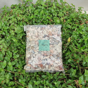 Harga Batu Erangga Stone Untuk Aquascape Katalog.or.id Harga Batu Erangga Stone Untuk Aquascape Katalog.or.id