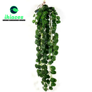 Katalog Daun Rambat Bunga Plastik Daun Rambat Bunga Palsu Katalog.or.id Katalog Daun Rambat Bunga Plastik Daun Rambat Bunga Palsu Katalog.or.id