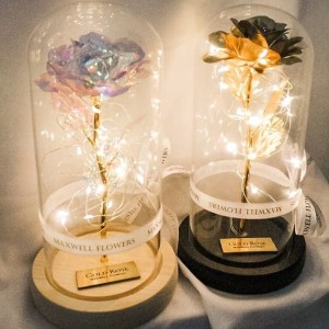 Harga Bunny Tails Flower White Lagurus Dried Flower Import Katalog.or.id Harga Bunny Tails Flower White Lagurus Dried Flower Import Katalog.or.id