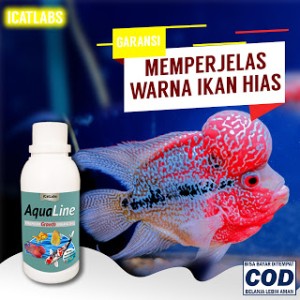Katalog Ikan Arwana Katalog.or.id Katalog Ikan Arwana Katalog.or.id