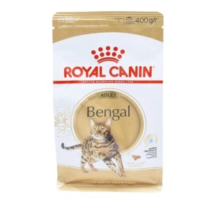 Katalog Kucing Bengal Katalog.or.id Katalog Kucing Bengal Katalog.or.id