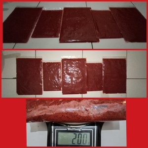 Katalog Ikan Discus Katalog.or.id Katalog Ikan Discus Katalog.or.id