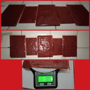 Harga Ikan Discus Katalog.or.id Harga Ikan Discus Katalog.or.id