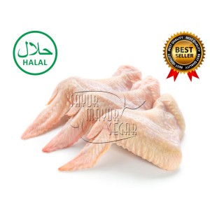 5 Harga Wings Food Segar Dingin Murah Terbaru 2020 Katalog Or Id
