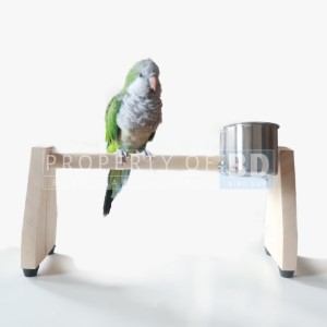 Katalog Glodok Batok Rumah Sarang Bertelur Burung Lovebird Kenari Ciblek Pleci Katalog.or.id Katalog Glodok Batok Rumah Sarang Bertelur Burung Lovebird Kenari Ciblek Pleci Katalog.or.id